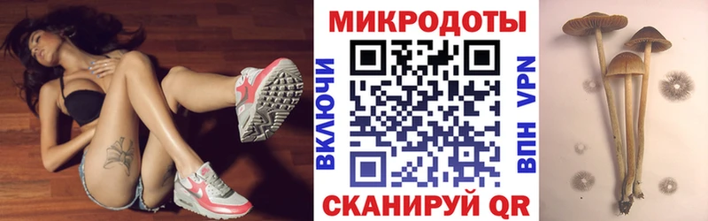 Псилоцибиновые грибы мухоморы  Починок 